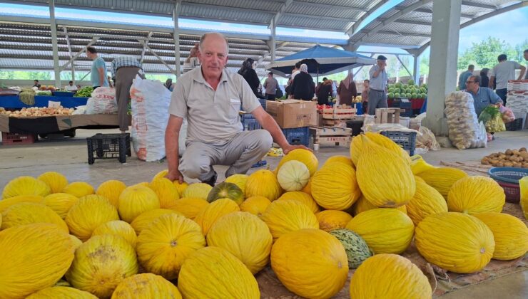 Yerli kavun kilosu 20 TL’den tezgahta yerini aldı