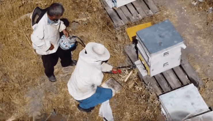Varroa hastalığına karşı 52 arıcıya destek sağlandı