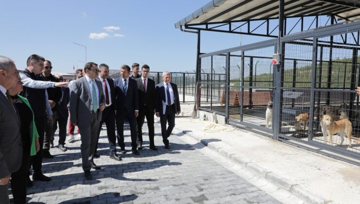 Vali Işın, yapımı tamamlanan hayvan barınağını ziyaret etti
