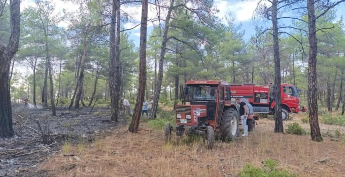 Yıldırım kaynaklı orman yangını büyümeden söndürüldü