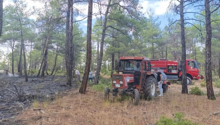 Yıldırım kaynaklı orman yangını büyümeden söndürüldü