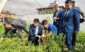 Minik öğrenciler kendi yetiştirdikleri ürünleri hasat etti