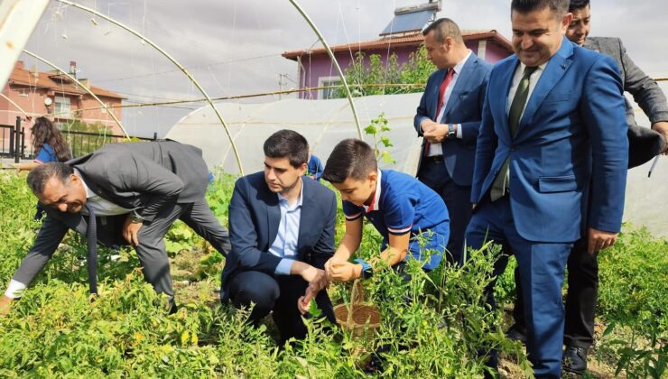 Minik öğrenciler kendi yetiştirdikleri ürünleri hasat etti