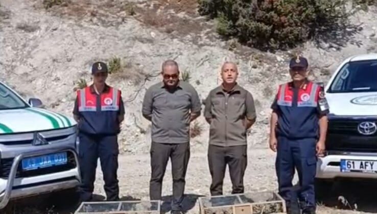 Kaçak avlanan 142 saka kuşu doğaya bırakıldı