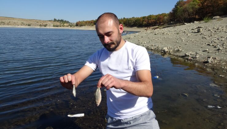 Enne Barajı’nda toplu balık ölümleri tedirgin etti