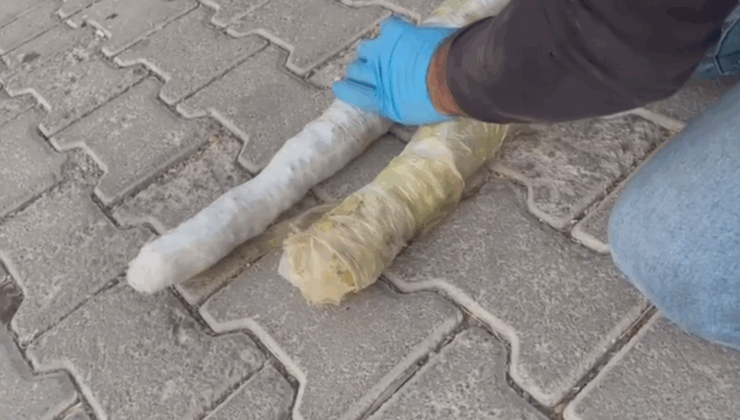 1 ton 183 kilo uyuşturucu madde ve milyonlarca hap geçirdi