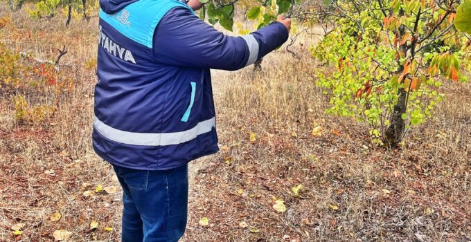 Uydu takibi yapılan arazilerde fiziki kontroller yapıldı