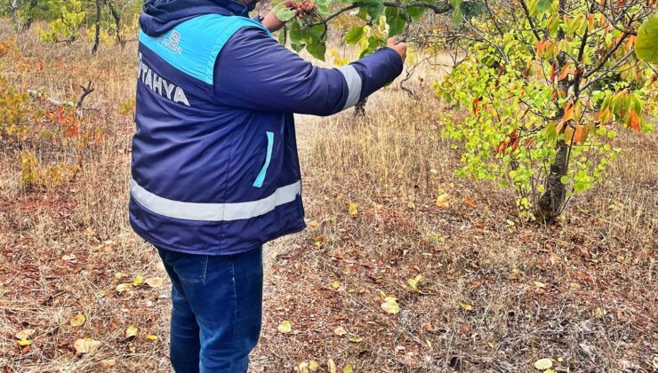 Uydu takibi yapılan arazilerde fiziki kontroller yapıldı