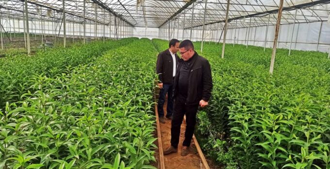 Emetli üreticiler için Simav’daki seralara teknik gezi düzenledi