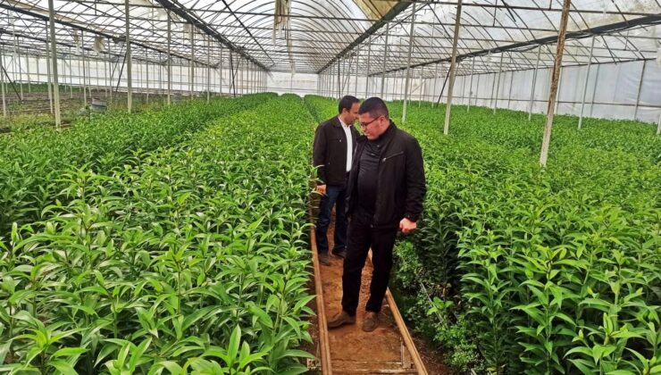Emetli üreticiler için Simav’daki seralara teknik gezi düzenledi