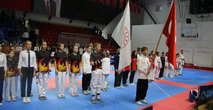 Yıldızlar taekwondo müsabakaları heyecanı yaşandı