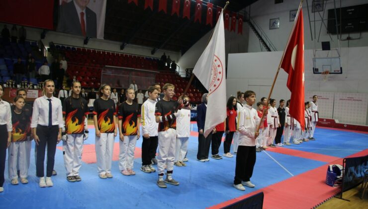 Yıldızlar taekwondo müsabakaları heyecanı yaşandı