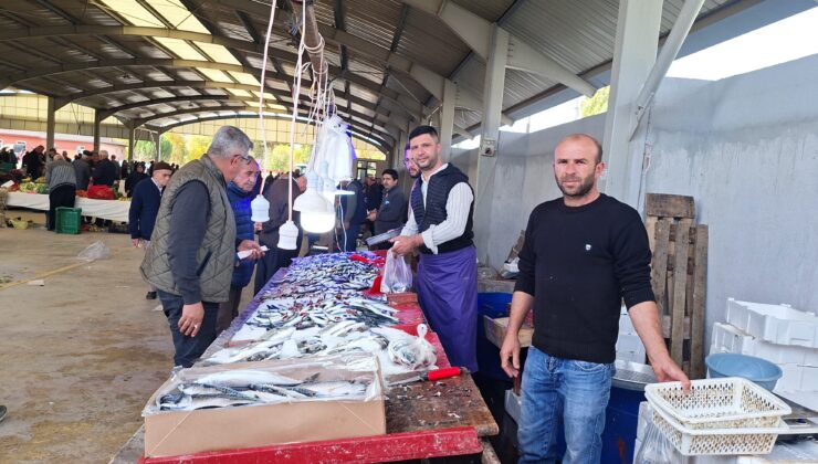 Tezgahlarda balık bolluğu fiyatları düşürdü