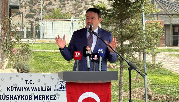 Kütahya’da sokak hayvanı sorunu tarih oluyor