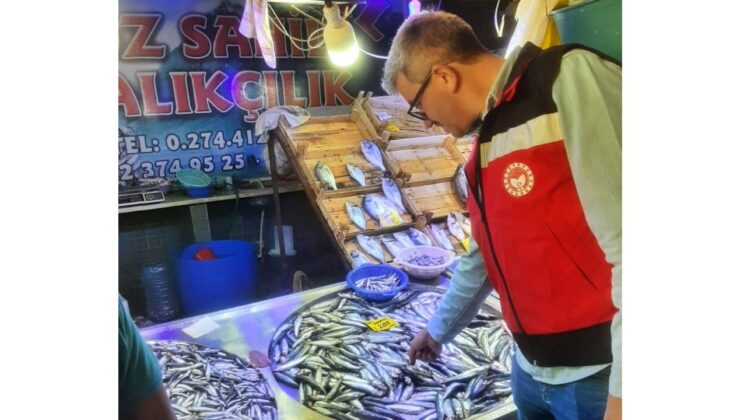 Halk pazarında su ürünleri denetlendi