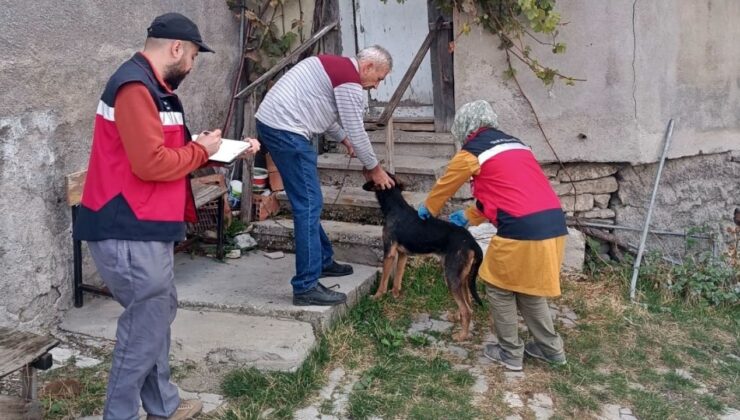 Kuduz aşılaması çalışmaları sürüyor