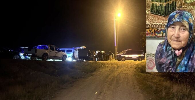 87 yaşındaki kadın ormanda kayboldu