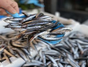 Balık pazarında hamsiye rağbet yüksek