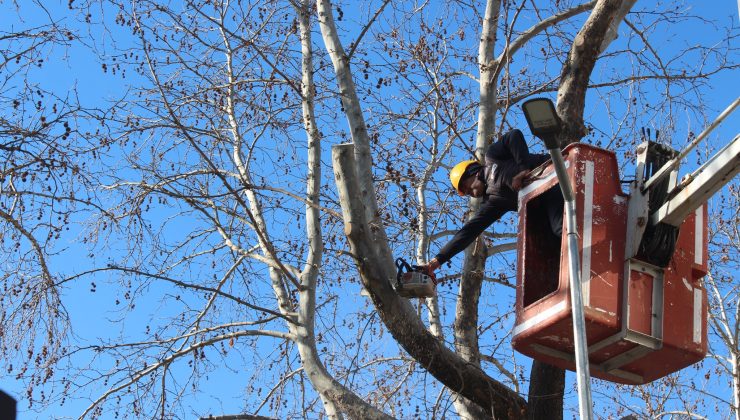 Tavşanlı Belediyesi’nden anlamlı çalışma