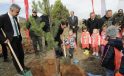2 bin adet çam fidanı toprakla buluştu