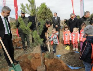 2 bin adet çam fidanı toprakla buluştu