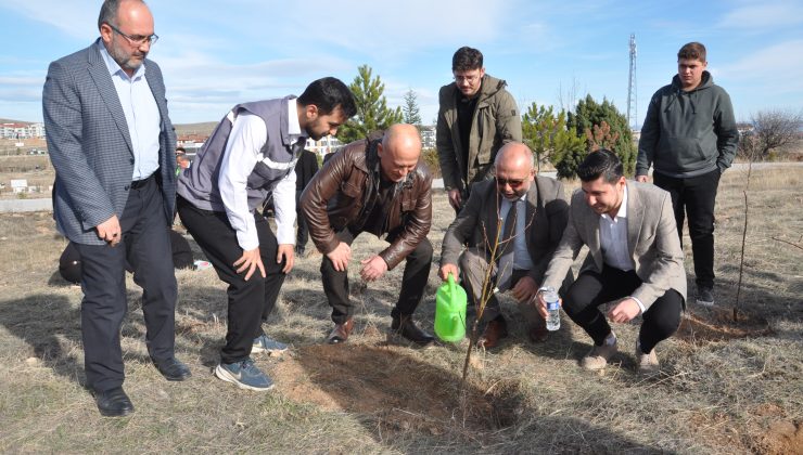 Şehit çocukların anısı 500 fidanla yaşayacak