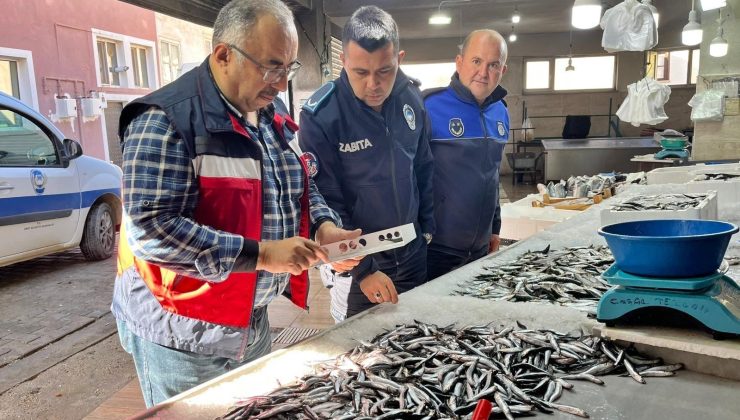 Su ürünlerine yönelik denetim yapıldı