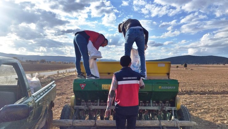Buğday ve tritikale tohumlarının ekimi yapıldı