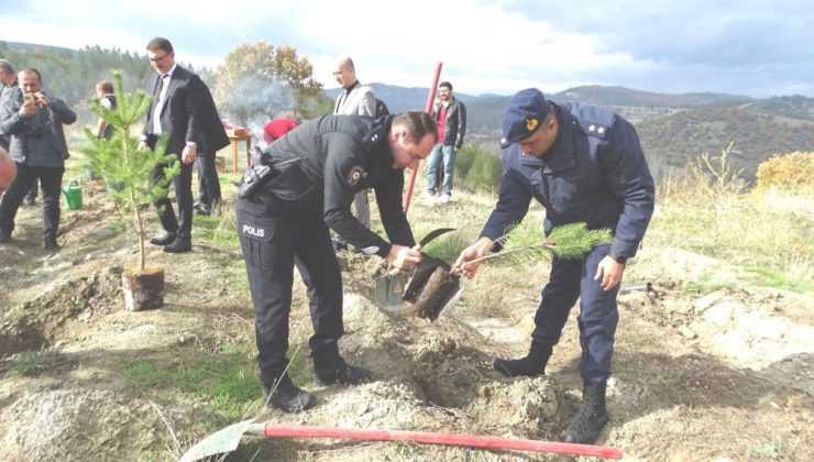 Fidan dikim seferberliği ilçelerde de sürüyor