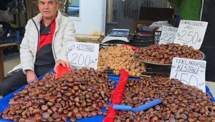 Simav Kestanesi tezgâhlarda yerini aldı