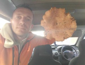 Kütahya’da bulunan dev mantarlar şaşırtıyor