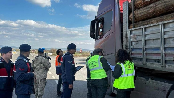 Orman kaçakçılığına müsaade yok!