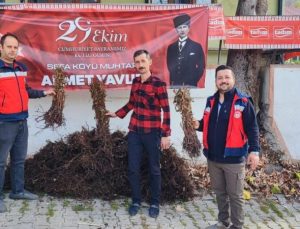 Çiftçilere yüzde 75 hibeli 3 bin adet ahududu fidanı dağıtıldı