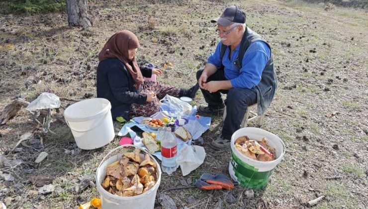 Yaşlı çiftten huzur dolu mesai