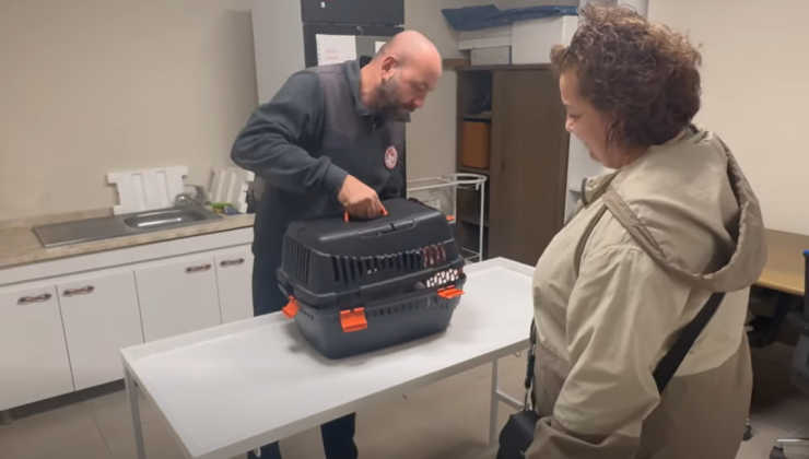 Kedi ve köpek sahiplerine uyarı!