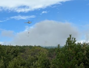 Domaniç’te çıkan orman yangını kontrol altına alındı