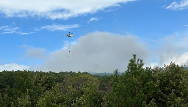 Domaniç’te çıkan orman yangını kontrol altına alındı