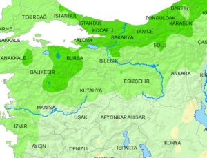 Kütahya’da Ekim yağışları son 12 yılın zirvesinde