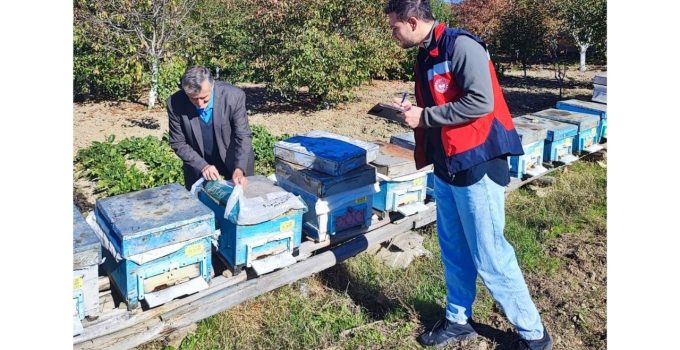 Arıcılık desteklemeleri kapsamında tespit çalışmaları yapıldı