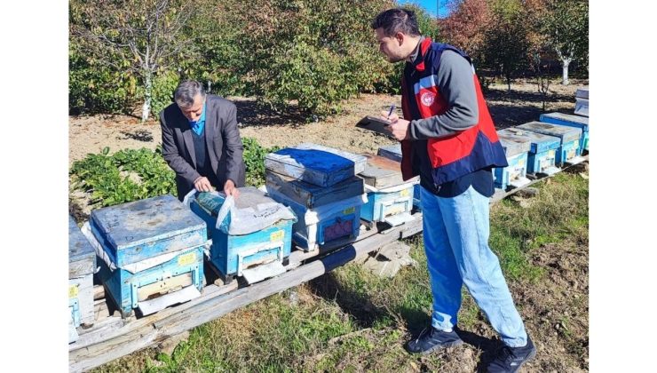 Arıcılık desteklemeleri kapsamında tespit çalışmaları yapıldı