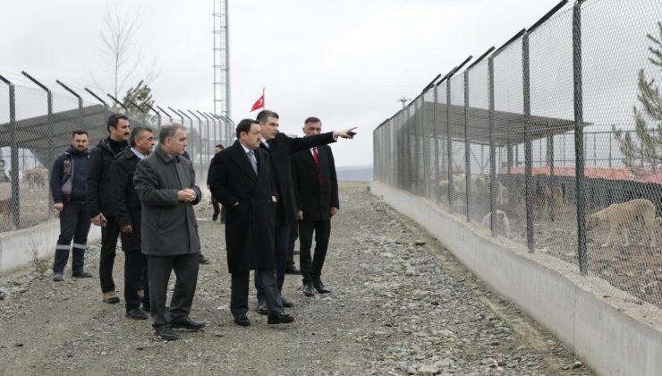 Sahipsiz hayvanlar için yeni tesisler kapılarını açıyor