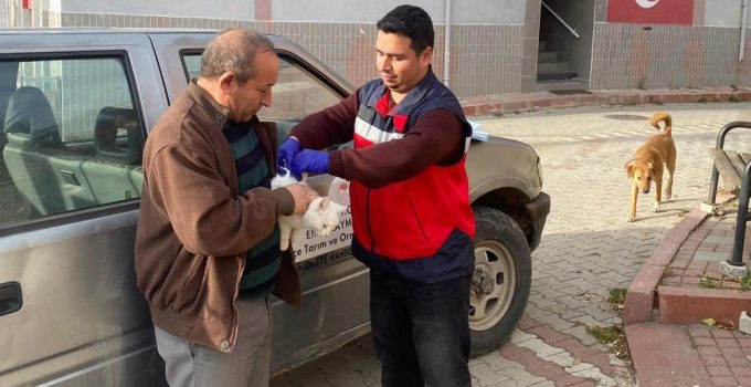 Kedi ve köpeklere çip ve aşı uygulaması