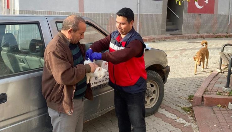 Kedi ve köpeklere çip ve aşı uygulaması