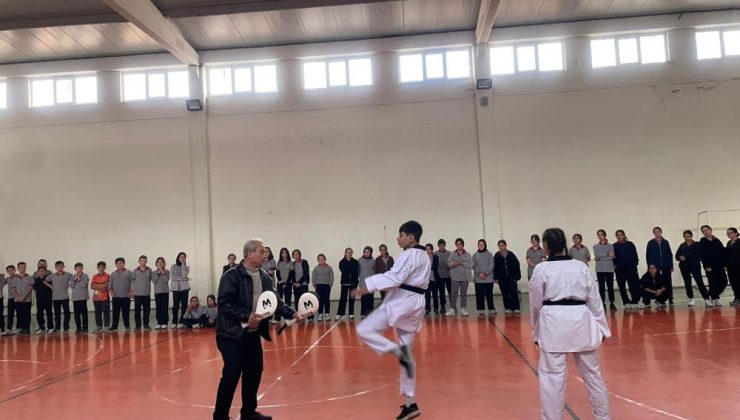 Pazarlar taekwondoda iddialı
