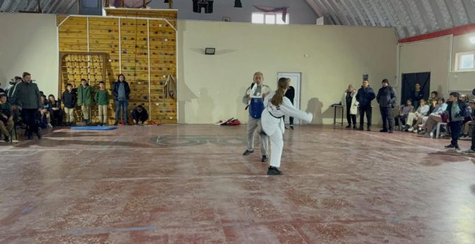 Genç tekvandocular miniklere örnek oldu