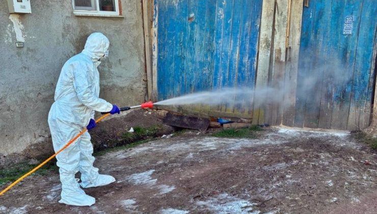 Hayvan işletmelerine dezenfeksiyon desteği