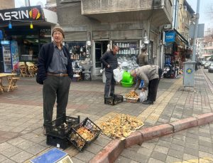 Melki mantarı bereketi Aralık ayı sonunda da sürüyor