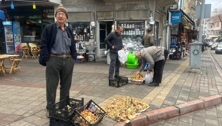 Melki mantarı bereketi Aralık ayı sonunda da sürüyor