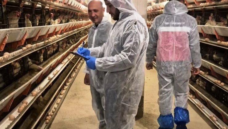 Yeni yumurta üretim tesisine ilk resmi denetim yapıldı