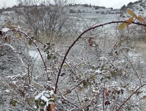 Kütahya’nın yüksek kesimleri beyaza büründü